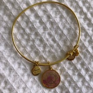 Alex and Ani Charm Bracelet
